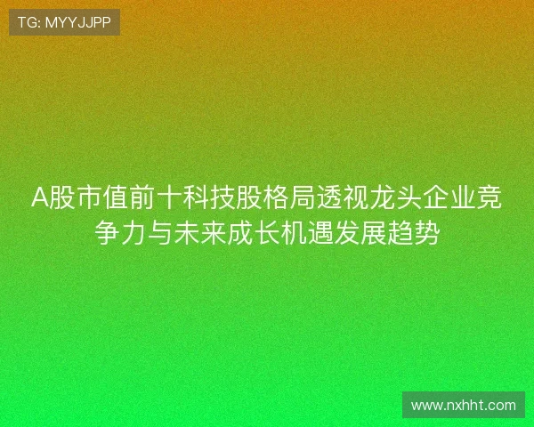 A股市值前十科技股格局透视龙头企业竞争力与未来成长机遇发展趋势